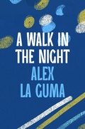 Cover: A Walk in the Night - Head of Zeus --  an AdAstra Book