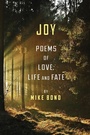 Cover: Joy - Big City Press