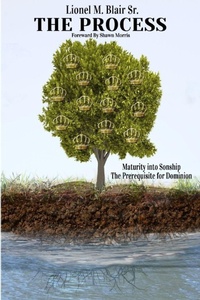 Enlarge image Cover: The Process - Lionel Blair