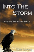 Cover: Into the Storm - Lulu Press