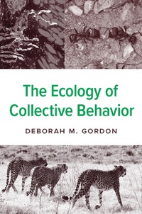 Enlarge image Cover: The Ecology of Collective Behavior - Princeton University Press