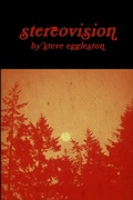 Cover: Stereovision - Lulu.com