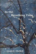 Cover: In the Breathing Time - Shika Press