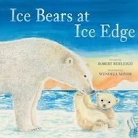 Enlarge image Cover: Ice Bears at Ice Edge - Abrams Books for Young Readers