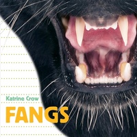 Abbildung von: Whose Is It? Fangs - Flowerpot Press