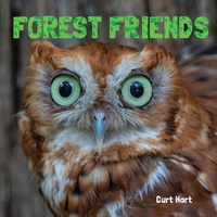 Enlarge image Cover: Forest Friends - Flowerpot Press