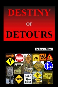 Enlarge image Cover: Destiny of Detours - Amy L. Allison