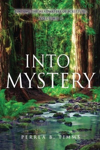 Enlarge image Cover: Into Mystery - Xulon Press