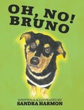 Cover: Oh, No! Bruno - Sandy's Shelf Books