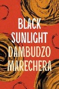 Cover: Black Sunlight - Apollo