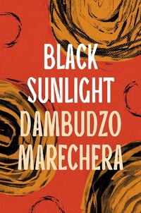 Abbildung von: Black Sunlight - Apollo