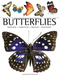Abbildung von: Butterflies - Amber Books