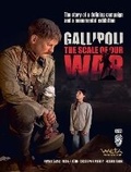 Cover: Gallipoli: The Scale of Our War - Te Papa Press