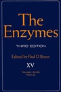 Cover: The Enzymes - Academic Press