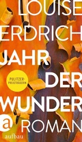 Cover: Jahr der Wunder - Aufbau