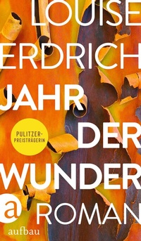 Enlarge image Cover: Jahr der Wunder - Aufbau
