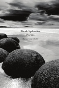 Cover: Bleak Splendor - Lulu.com