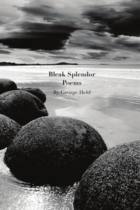 Enlarge image Cover: Bleak Splendor - Lulu.com