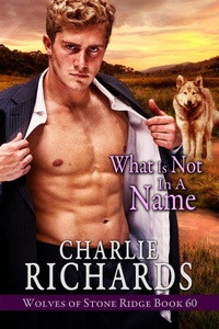 Enlarge image Cover: What is Not in a Name (Wolves of Stone Ridge, #60) - eXtasy Books Inc