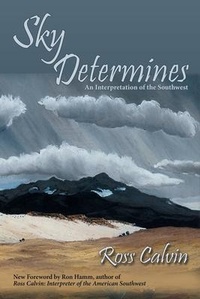 Enlarge image Cover: Sky Determines - Sunstone Press