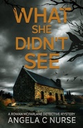 Cover: What She Didn't See - F and J Publishing