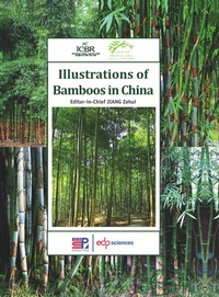 Abbildung von: Illustrations of bamboos in China - EDP sciences