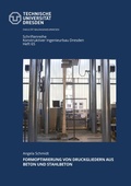 Cover: Formoptimierung von Druckgliedern aus Beton und Stahlbeton - Technische Uni Dresden