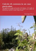 Cover: Calcolo di coerenza in un caso particolare - Lulu.com