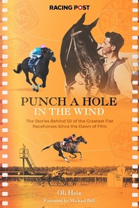 Abbildung von: Punch a Hole - Pitch Publishing Ltd