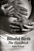 Cover: Blissful Birth - The Handbook - Blissful Birth Books