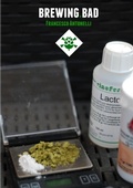 Cover: Brewing Bad - Lulu.com