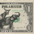 Cover: Polarized - Gatekeeper Press