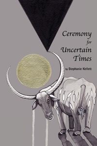 Abbildung von: Ceremony for Uncertain Times - Lulu.com