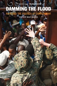 Abbildung von: Damming the Flood - Verso Books