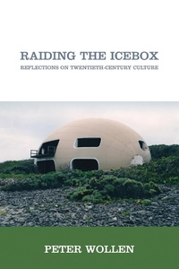 Enlarge image Cover: Raiding the Icebox - Verso Books