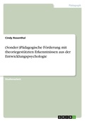 Cover: (Sonder-)P&auml;dagogische F&ouml;rderung mit theoriegest&uuml;tzten Erkenntnissen aus der Entwicklungspsychologie - GRIN Verlag