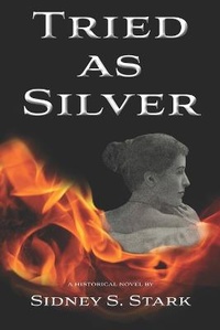 Enlarge image Cover: Tried as Silver - Momentum Ink Press