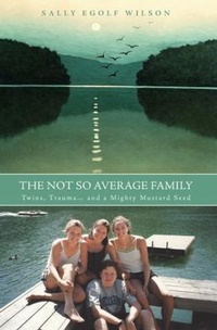 Enlarge image Cover: The Not So Average Family - Sally Wilson