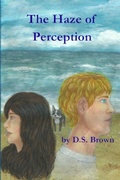 Cover: The Haze of Perception - D.S. Brown