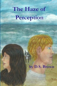 Enlarge image Cover: The Haze of Perception - D.S. Brown