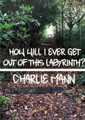Cover: How Will I Ever Get Out Of This Labyrinth? - Lulu.com