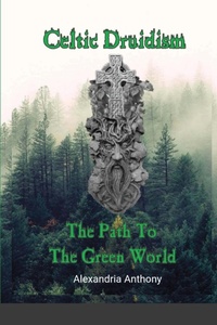 Abbildung von: Celtic Druidism - Lulu.com