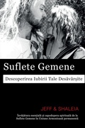 Cover: Suflete Gemene - Twin Flames Universe