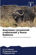 Cover: ???????? ????????? ?????????? ? ????-???в - Sciencia Scripts