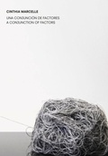 Cover: Cinthia Marcelle: A Conjunction of Factors - Turner Publicaciones, S.L.