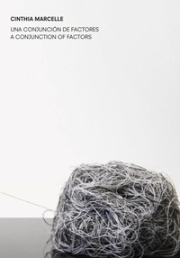Enlarge image Cover: Cinthia Marcelle: A Conjunction of Factors - Turner Publicaciones, S.L.