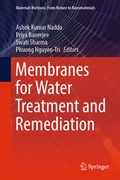 Cover: Membranes for Water Treatment and Remediation - Springer