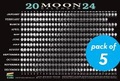 Cover: 2024 Moon Calendar Card (5 pack) - The  Experiment LLC