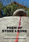 Cover: Poem of Stone and Bone - Raven Chronicles