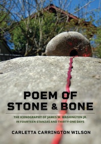 Enlarge image Cover: Poem of Stone and Bone - Raven Chronicles